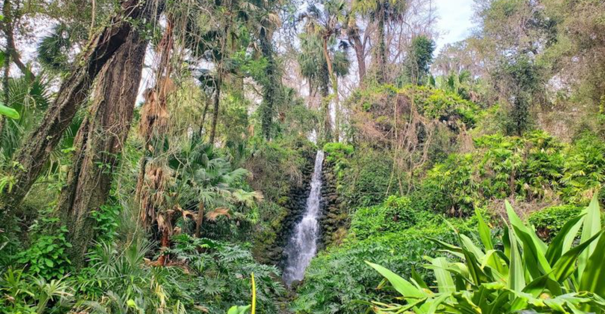 This Easy Florida Trail Features Stunning Man Made Waterfalls Around Every Turn