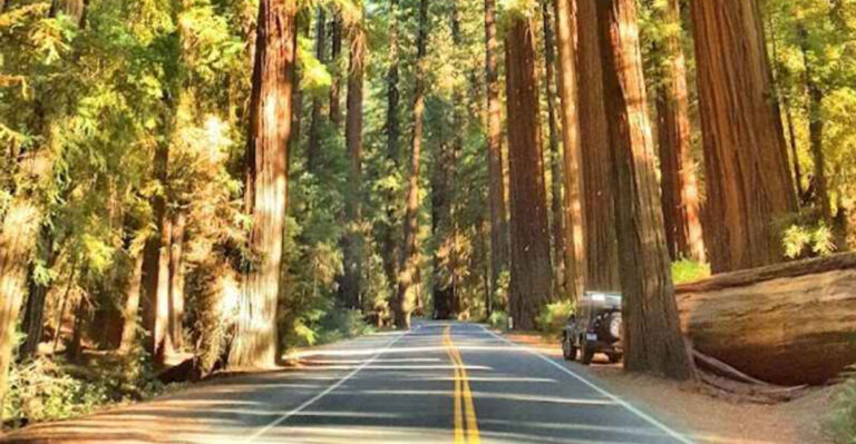 This Enchanting 31-Mile Highway In California Feels Like It Came Straight From A Storybook
