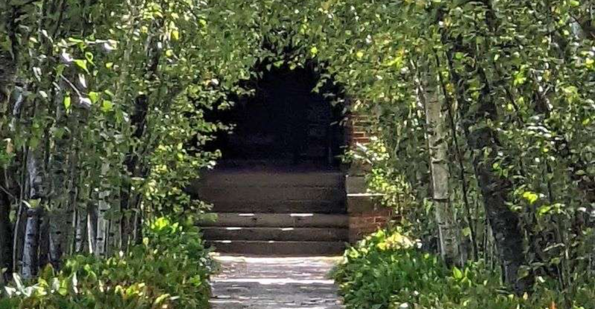 This Enchanting Tree Tunnel In Ohio Is One Of The Midwests Best Hidden Treasures