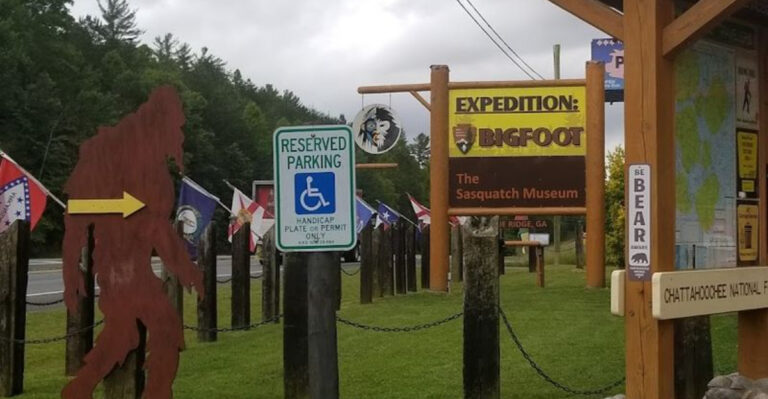 This Fascinating Bigfoot Museum In Georgia Is One Of The Country’s Most Unusual Attractions