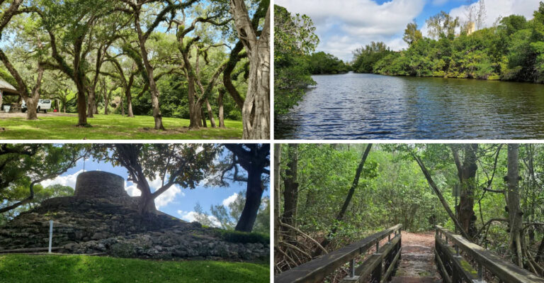 This Florida Park Feels Like A Hidden Oasis With Ancient Trees, Scenic Trails, And Surprisingly Peaceful Escapes From The City