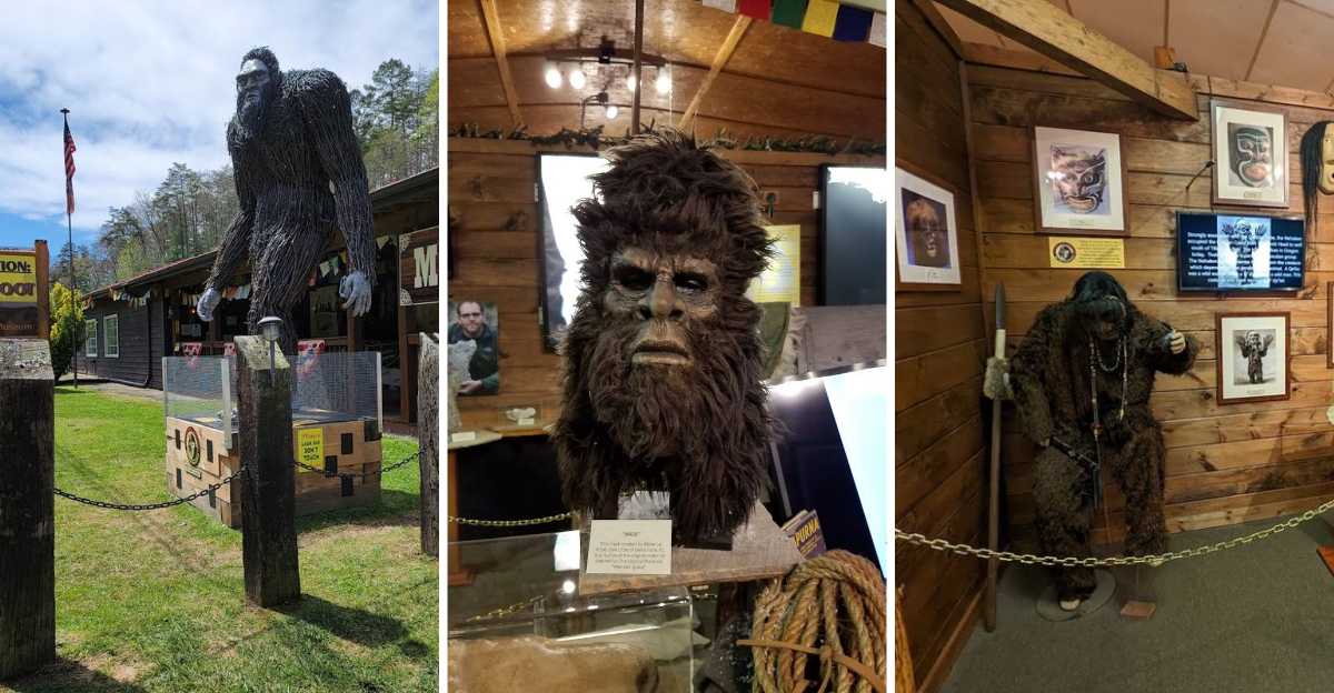 This Georgia Bigfoot Museum Is One Of The Most Unusual Attractions Youll Ever Visit