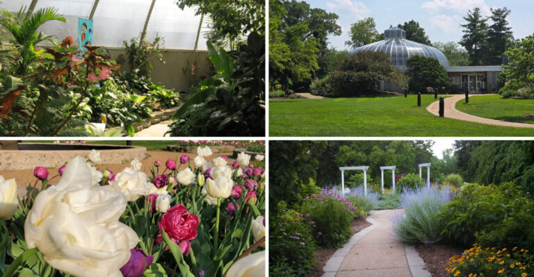 This Gorgeous 20-Acre Botanical Garden Is One Of Illinois’ Most Breathtaking Destinations