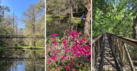This Gorgeous 59-Acre Florida State Park Remains One Of The State’s Best Hidden Gems