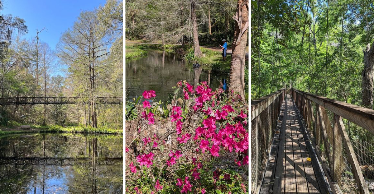 This Gorgeous 59-Acre Florida State Park Remains One Of The State’s Best Hidden Gems