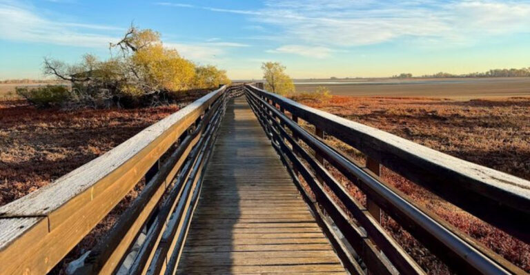 This Hidden Colorado State Park Is A Haven For Bald Eagles And Outdoor Enthusiasts