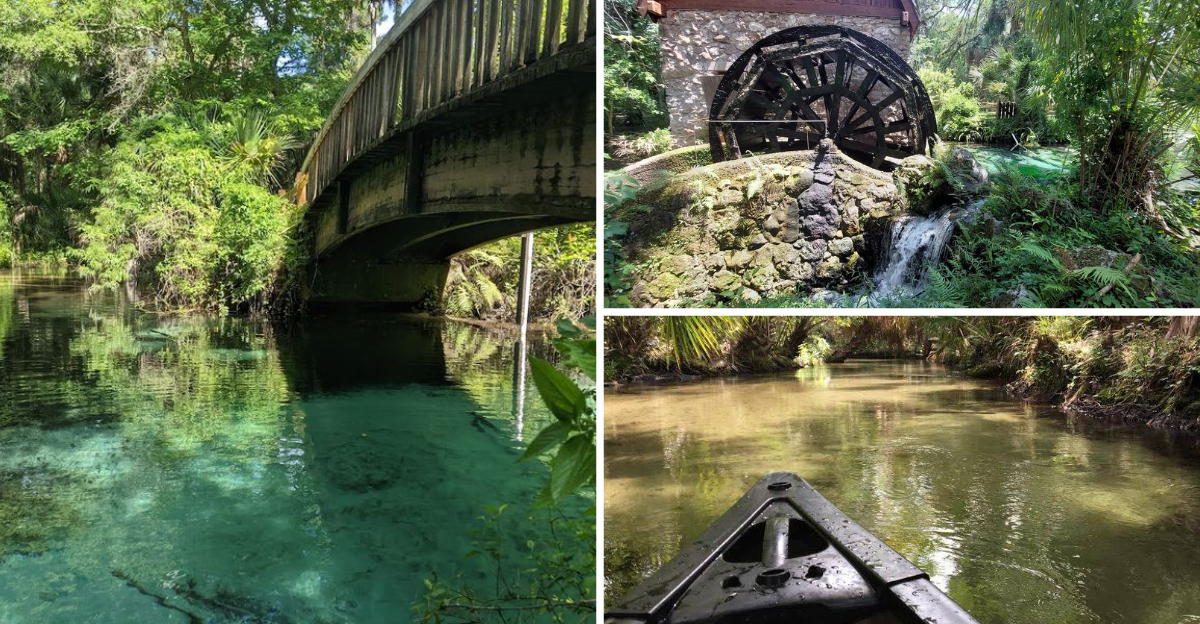 This Hidden Florida Spring Is So Secluded, Many People Don’t Even Know It Exists