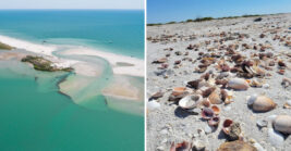 This Hidden Florida State Park Is A Paradise For Seashell Hunters