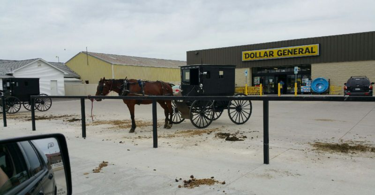 This Hidden Gem In Illinois Feels Like A Step Back To Simpler Times