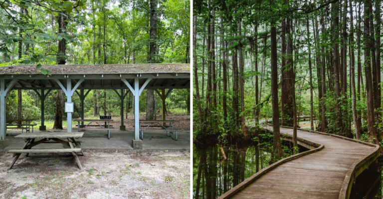 This Hidden South Carolina State Park Is So Extraordinary, Most People Have Never Heard Of It