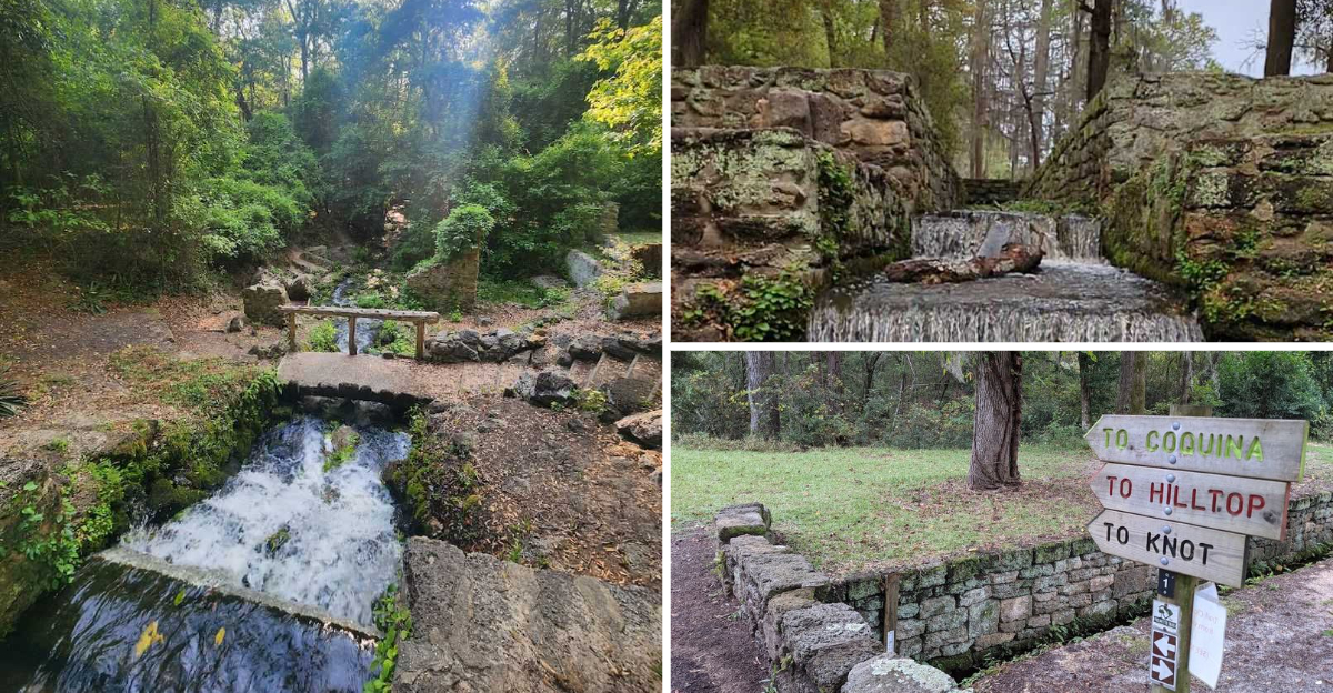 This Hidden State Park Is South Carolinas Most Underrated Destination For Hikers