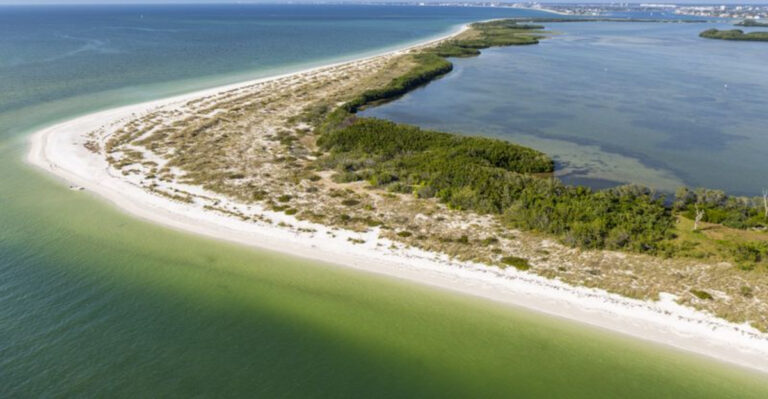 This Little-Known Island Preserve Is One Of Florida’s Best Spots For Finding Seashells