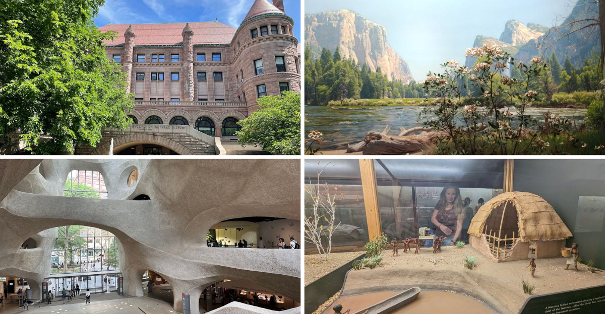 This New York Museum Is Packed With Incredible Exhibits That Can Keep You Exploring All Day Long