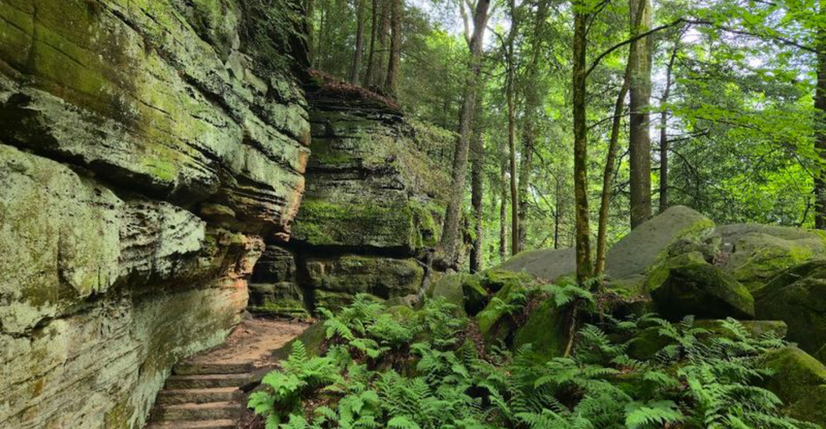 This Ohio Trail Leads To Towering Rock Formations And Forest Views That Feel Straight Out Of Another World