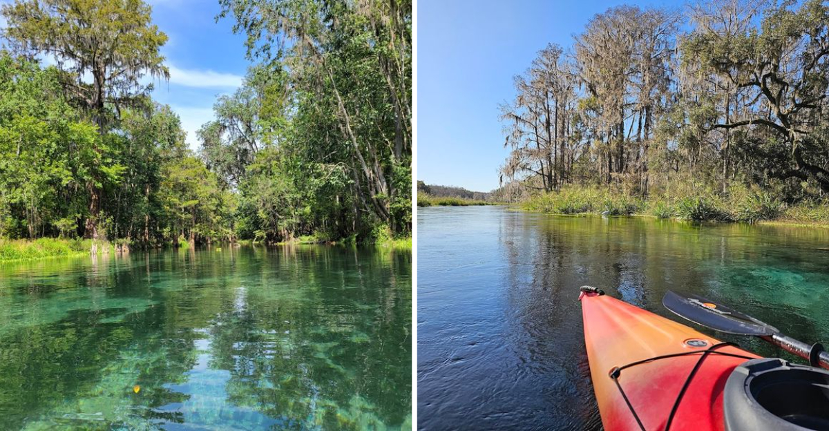 This Picturesque Florida State Park Is The Kind Of Place Where Everyday Worries Simply Fade Away
