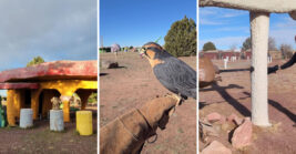 This Quirky Arizona Roadside Attraction Feels Like A Journey Back To Another Era