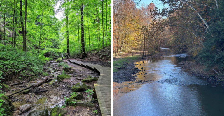 This Scenic 1.4-Mile Ohio Trail Leads Hikers To A Hidden River Escape
