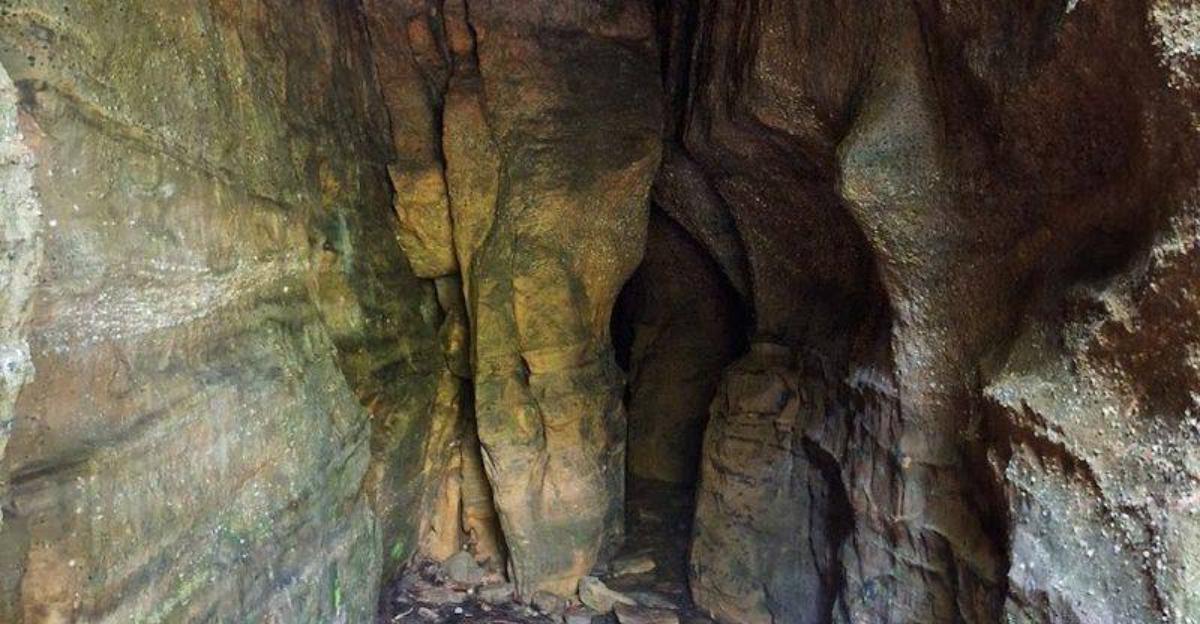This Scenic 1.8 Mile Ohio Trail Feels Like A Journey To Another World