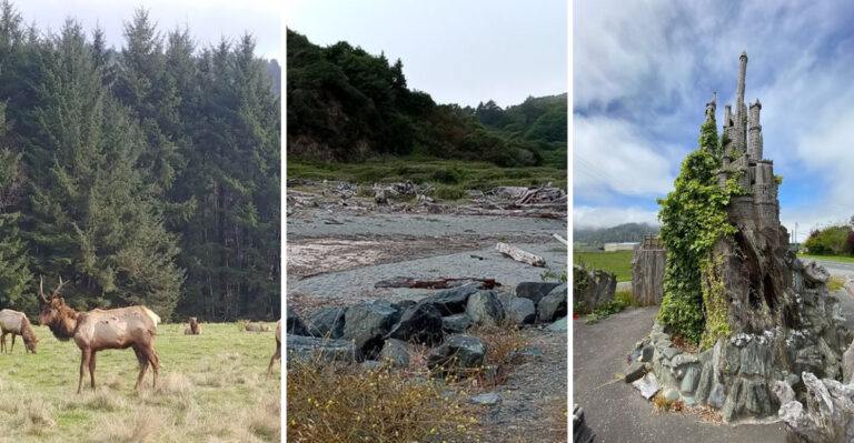 This Scenic California Small Town Is A Paradise For Nature Lovers