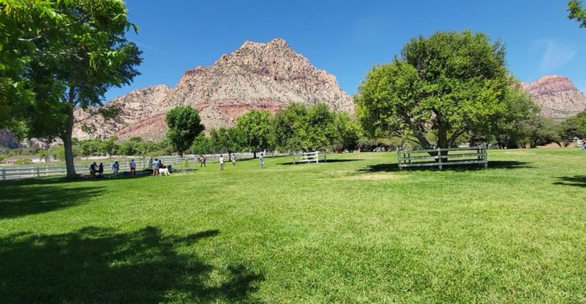 This Scenic Nevada State Park Has A Way Of Making All Your Stress And Worries Melt Away