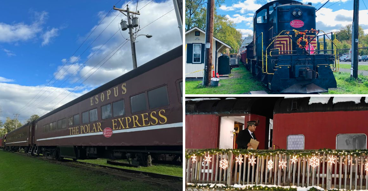 This Scenic New York Rail Journey Feels So Magical Youll Wish It Never Reached The Final Stop