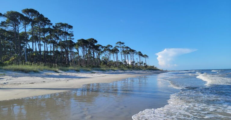 This Scenic South Carolina State Park Has A Way Of Making Stress Completely Disappear