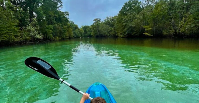 This Secret Florida Spring Can Only Be Reached By Boat