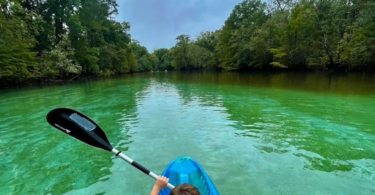 This Secret Florida Spring Can Only Be Reached By Boat