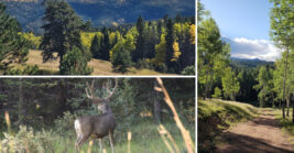 This Spectacular Colorado State Park Looks Almost Too Beautiful To Be Real