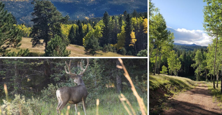 This Spectacular Colorado State Park Looks Almost Too Beautiful To Be Real