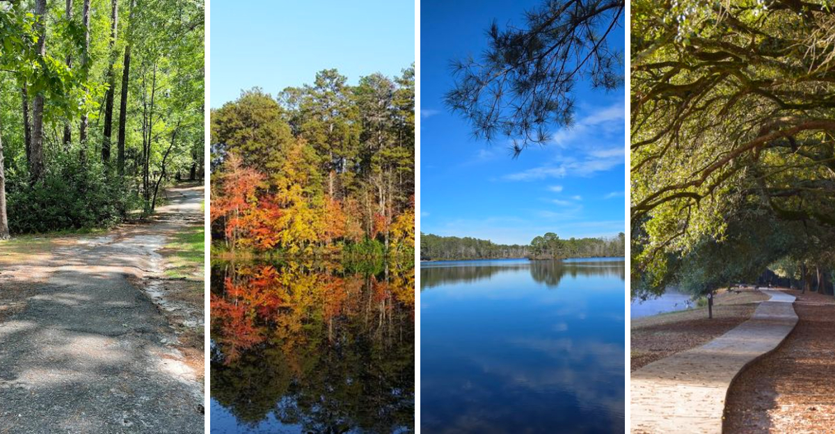 This Spectacular South Carolina Trail Is A Hike Every Outdoor Enthusiast Should Experience At Least Once