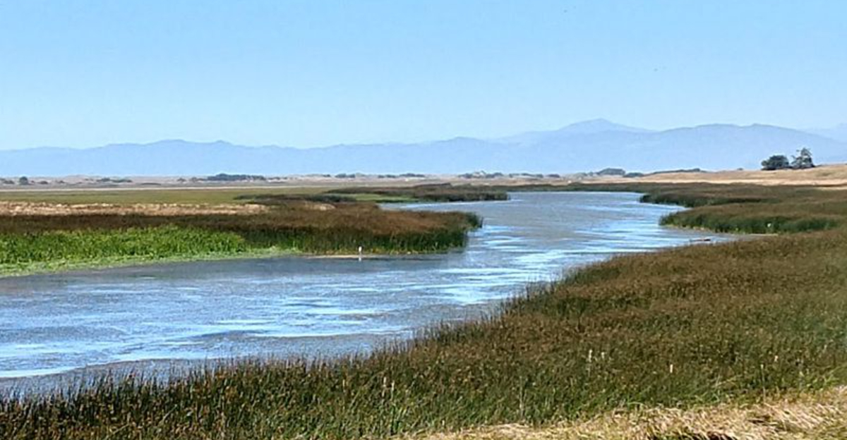 This Stunning California State Park Remains One Of The Best Kept Secrets Among Locals