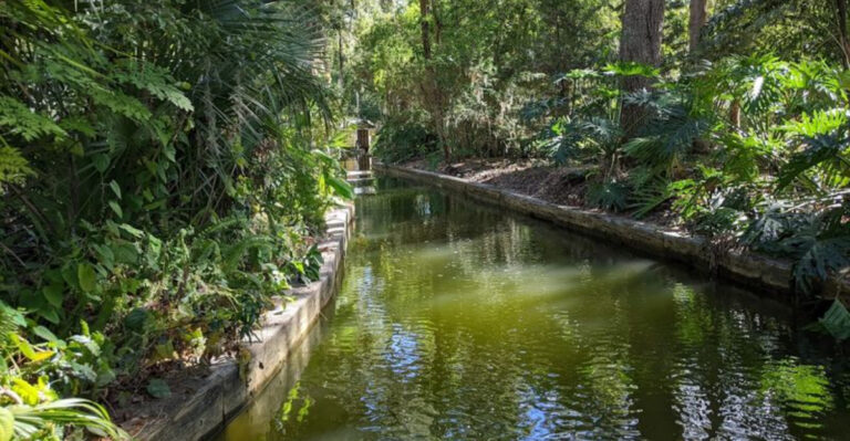 This Stunning Florida Canal Feels So Dreamlike, It’s Hard To Believe It’s Real