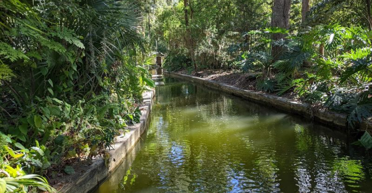 This Stunning Florida Canal Feels So Dreamlike Its Hard To Believe Its Real