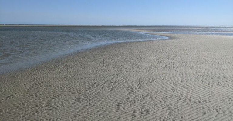 This Stunning Georgia Beach Is So Hidden That Even Many Locals Have Never Heard Of It