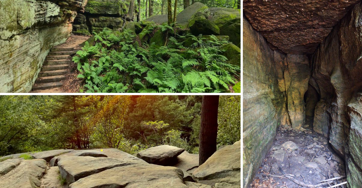 This Surreal Ohio Hiking Trail Is So Unique It Feels Like Youve Wandered Onto Another Planet