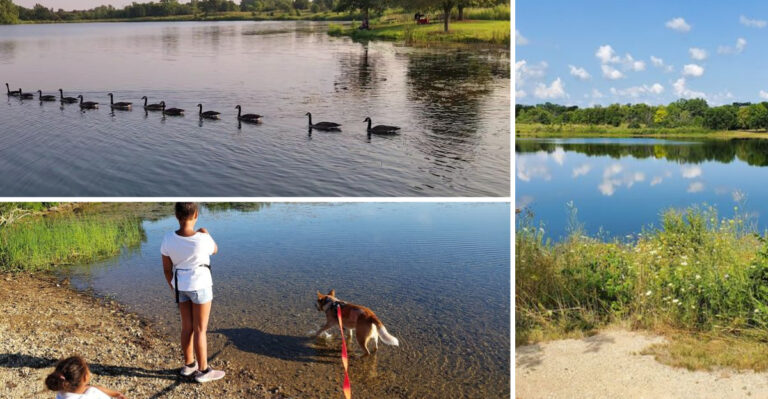 This Tiny Illinois Park May Be The Best-Kept Secret Most People Still Haven’t Discovered