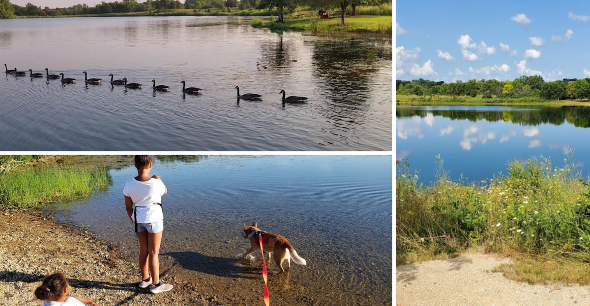 This Tiny Illinois Park May Be The Best-Kept Secret Most People Still Haven’t Discovered