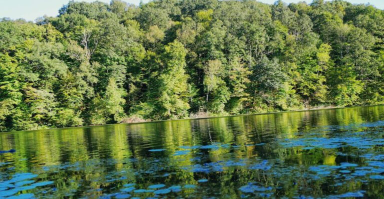 This Tiny Yet Fascinating Ohio State Park Is Far Too Beautiful To Stay Hidden