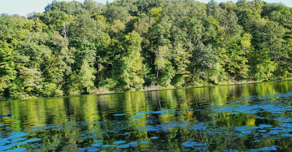 This Tiny Yet Fascinating Ohio State Park Is Far Too Beautiful To Stay Hidden