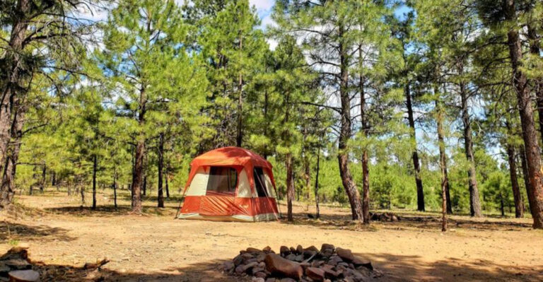 This Underrated Arizona National Forest Is The Peaceful Escape You’ve Been Looking For