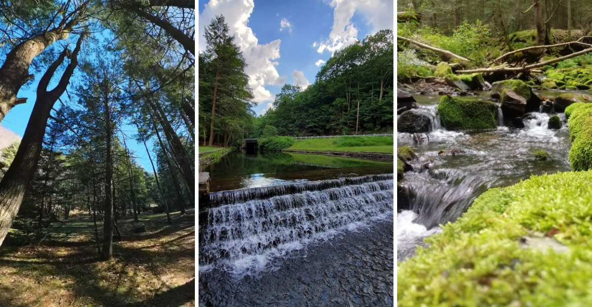 This Underrated State Park In Pennsylvania Is So Little Known Youll Practically Have It All To Yourself