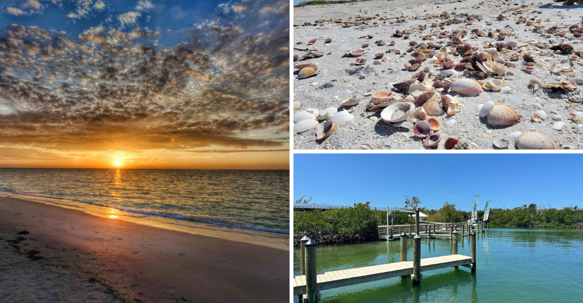 This Unspoiled Florida Beach Feels So Otherworldly Youll Wonder If Youve Stepped Into A Dream
