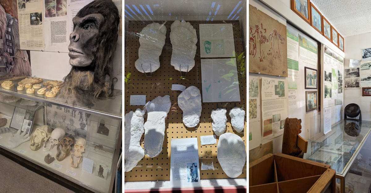 This bizarre Bigfoot museum in California is one of the strangest attractions youll ever visit