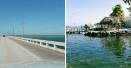 This gorgeous 113-mile Florida drive is so peaceful, locals swear it’s better than meditation