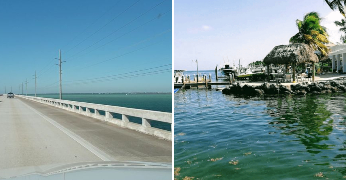 This gorgeous 113 mile Florida drive is so peaceful locals swear its better than meditation