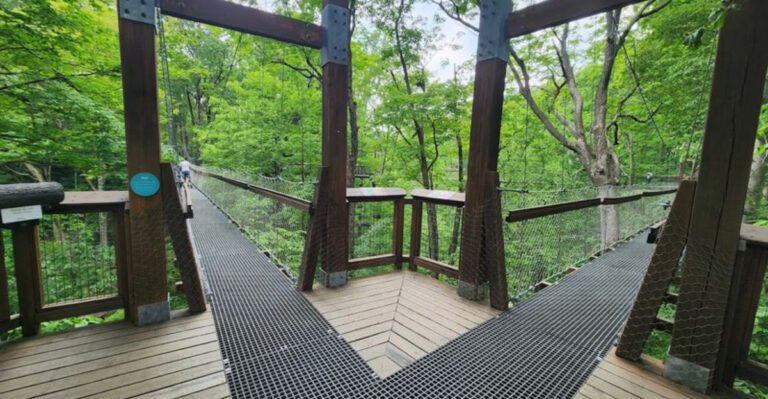 This gorgeous 500-foot-long canopy walk in Ohio lets you soar high above the treetops