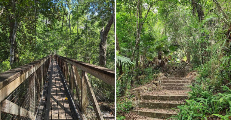 This gorgeous 59-acre Florida state park remains one of the state’s best hidden gems