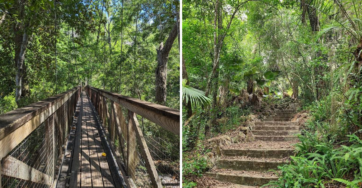 This gorgeous 59 acre Florida state park remains one of the states best hidden gems