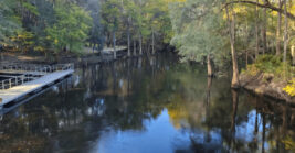 This gorgeous Florida state park is so little known, you’ll feel like you have the whole place to yourself